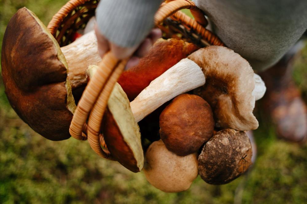 Ruzova Chalupa Pod Klinovcem Loučná pod Klínovcem Bagian luar foto